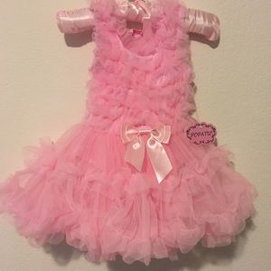 Brand new Papatu dress tutu pink dress